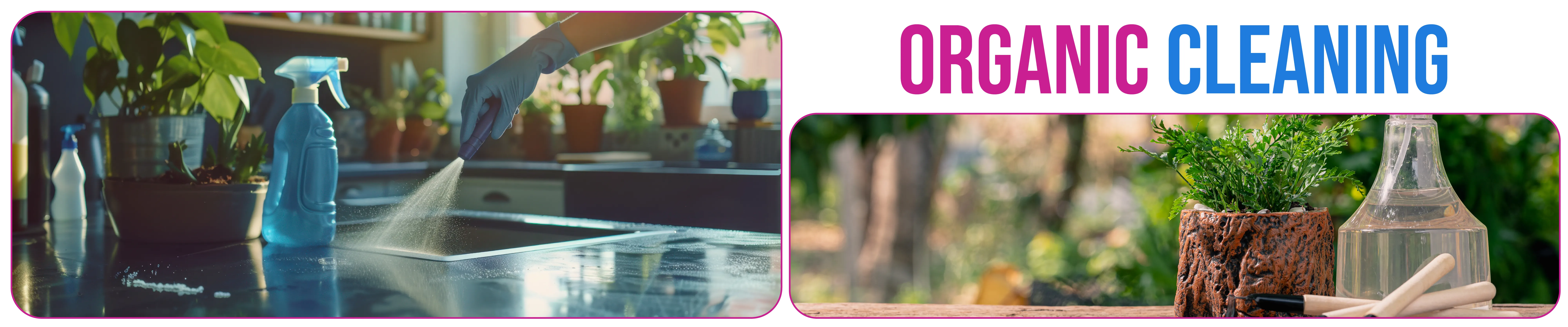 carpet cleaning in brooklyn, carpet cleaning in brooklyn, carpet cleaning brooklyn, carpet cleaners in brooklyn, carpet cleaners in brooklyn, commercial carpet cleaning, commercial carpet cleaning in brooklyn, brooklyn rug cleaners, rug cleaning services in brooklyn, same day carpet cleaning, same day rug cleaning