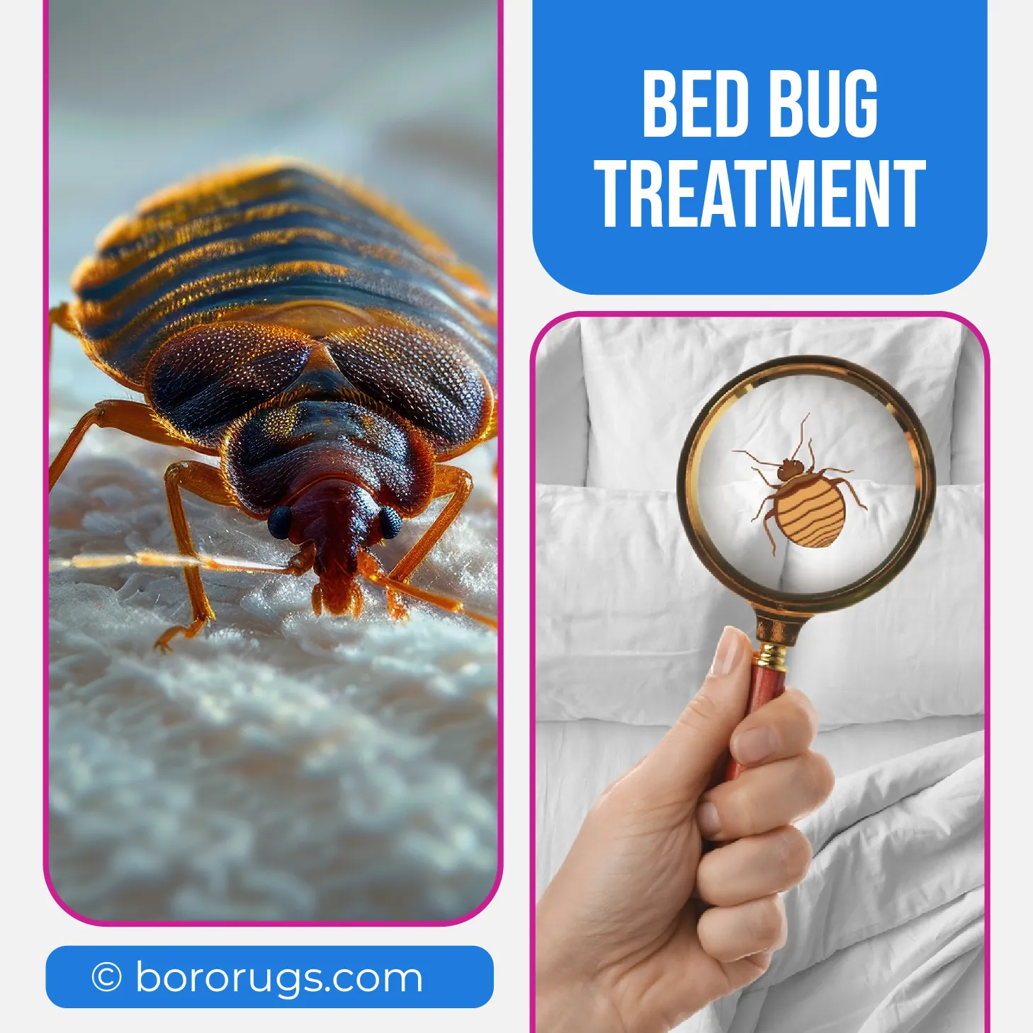 carpet cleaning in brooklyn, carpet cleaning in new york, carpet cleaning brooklyn, carpet cleaners in brooklyn, carpet cleaners in new york, commercial carpet cleaning, commercial carpet cleaning in brooklyn, brooklyn rug cleaners, rug cleaning services in brooklyn, same day carpet cleaning, same day rug cleaning